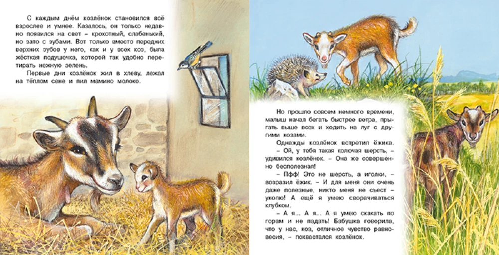 Adventures of the Kid Goat