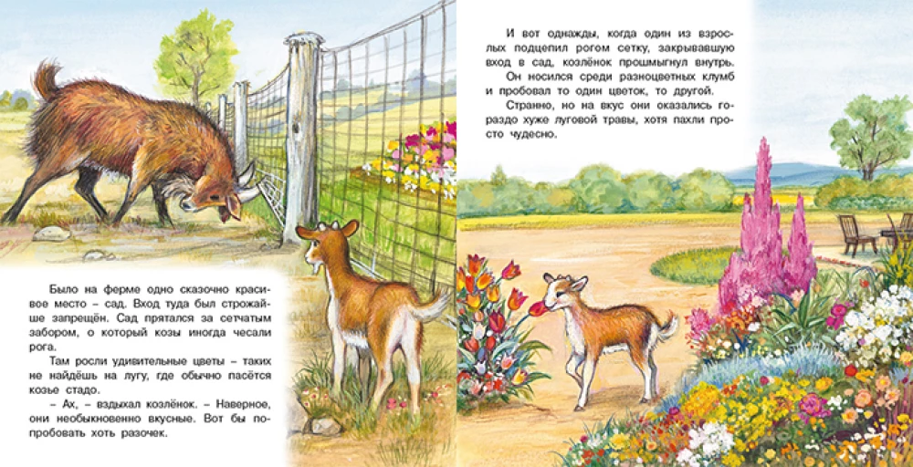 Adventures of the Kid Goat
