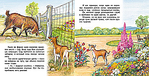 Adventures of the Kid Goat