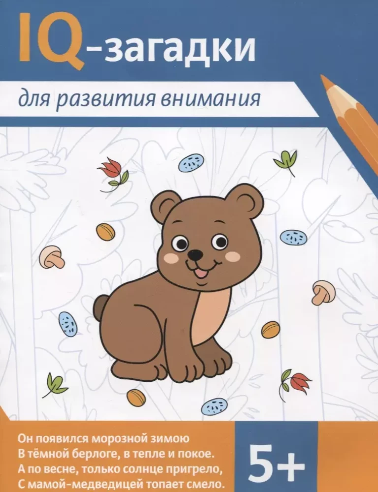 IQ Puzzles for Attention Development: 5+