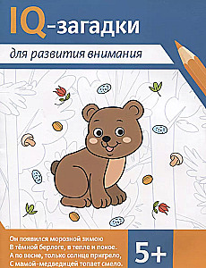 IQ Puzzles for Attention Development: 5+