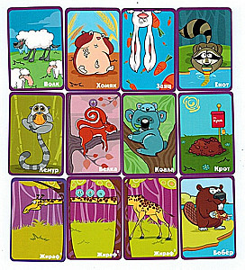 Tabletop Game My Zoo is the Best!