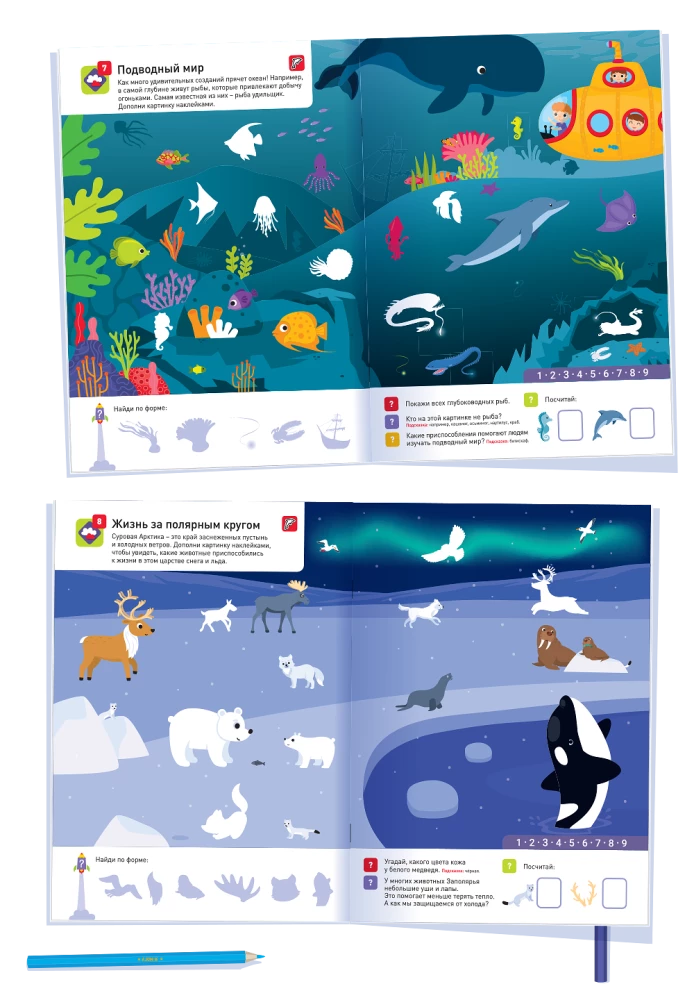 100 reusable stickers! Animals of the world