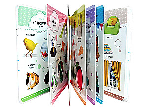 Musical Book “My First Words”