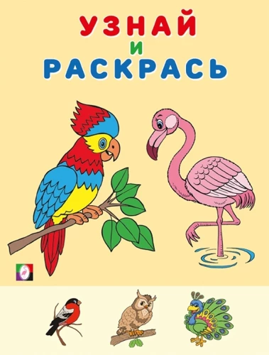 Learn and Color. Flamingo