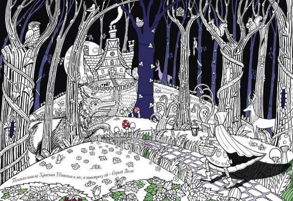 Fairy Tale World