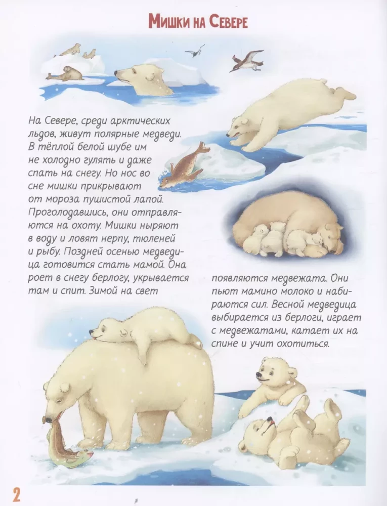 About Our Furry Friends