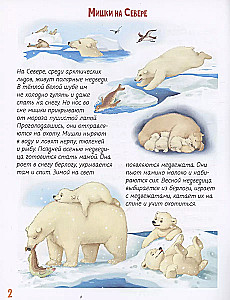 About Our Furry Friends