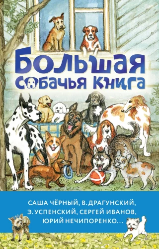 The Big Dog Book