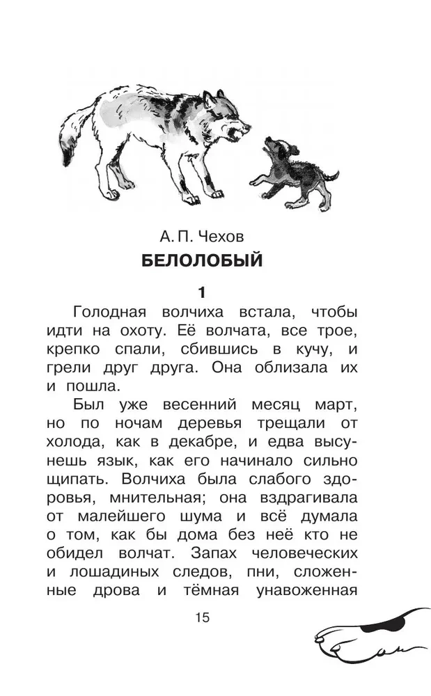 The Big Dog Book