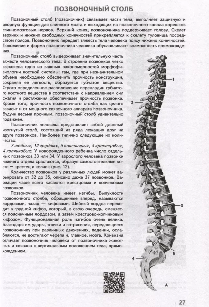 Human Anatomy. Atlas with QR Codes for Color Images