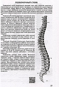 Human Anatomy. Atlas with QR Codes for Color Images