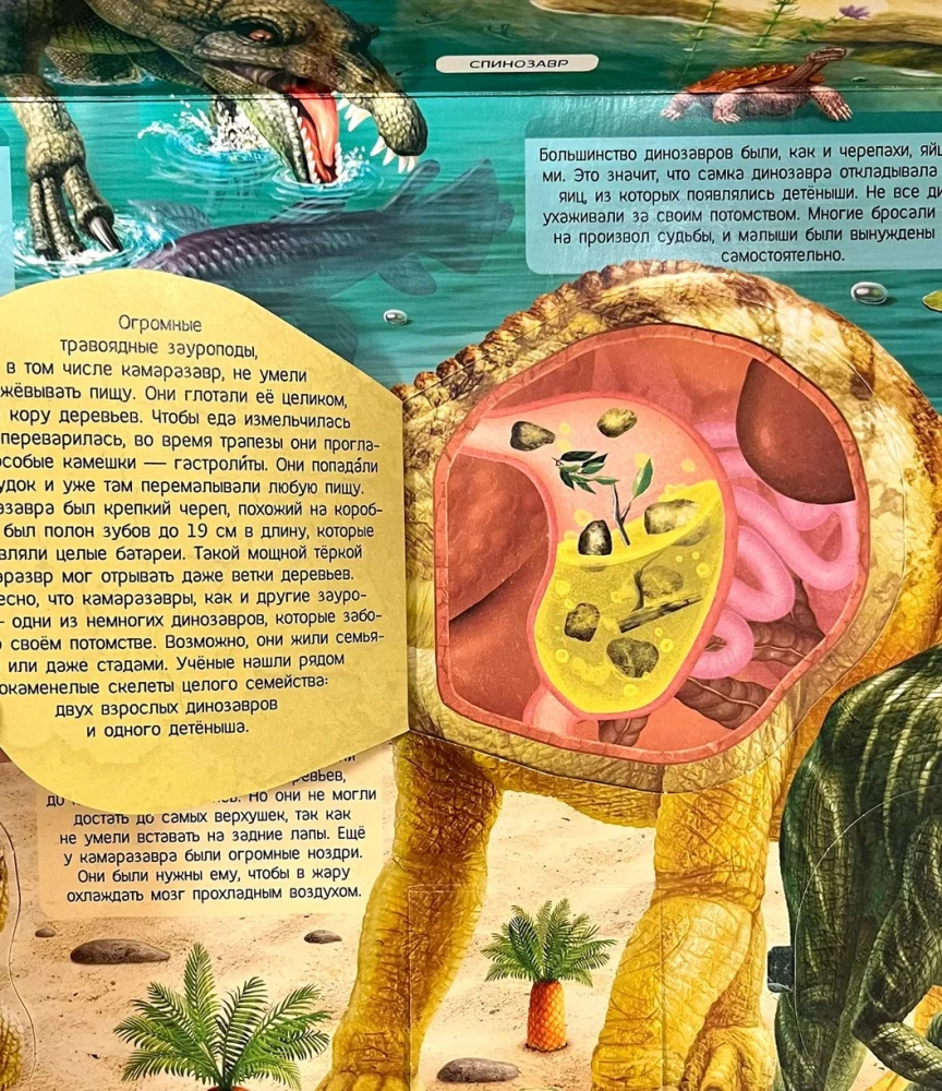 Poster with Windows. Dinosaurs