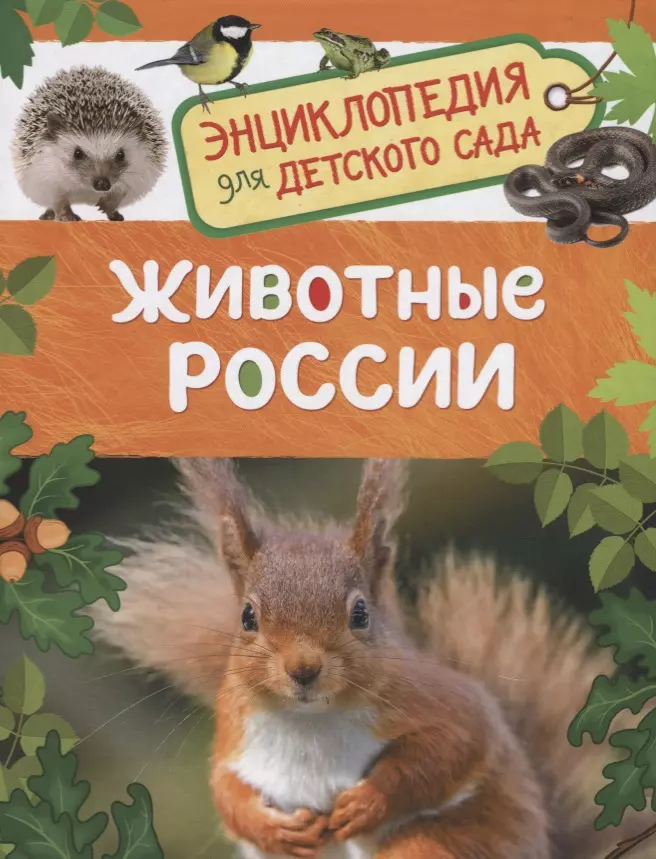 Zwierzęta Rosji