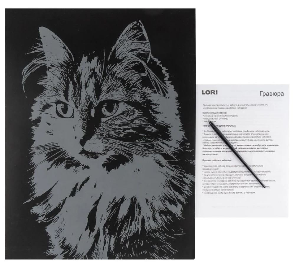 Scratching Animals. Fluffy Cat