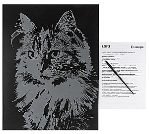 Scratching Animals. Fluffy Cat