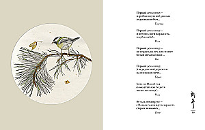 Die Welt in einem Tropfen Tau. Frühling. Sommer. Haiku für alle Zeiten