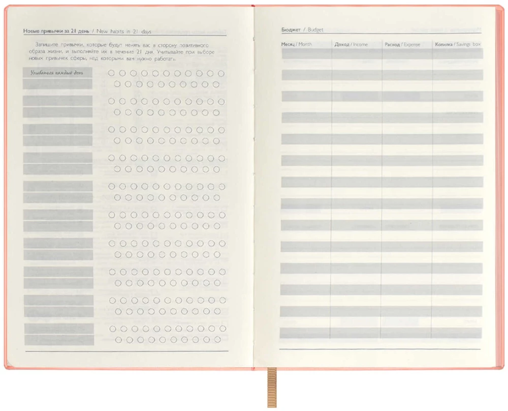 Undated Notebook Raspberry