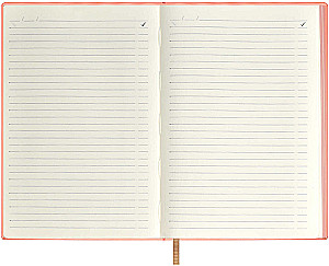 Undated Notebook Raspberry