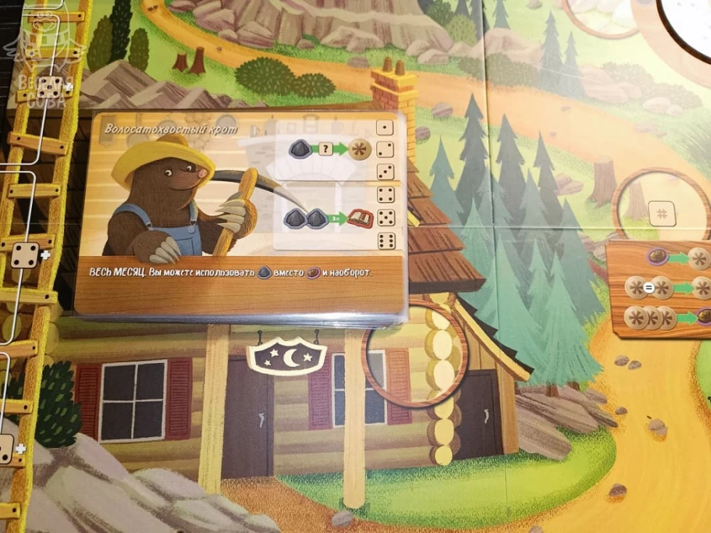 Cozy Glade Board Game