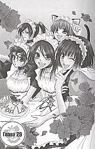The Maid's Chief. Volume 7