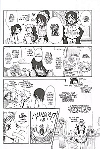 The Maid's Chief. Volume 7