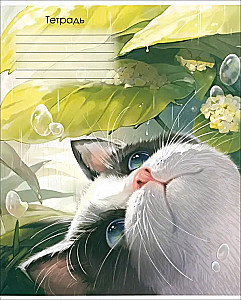 Notebook Shining Cat, 18 sheets, grid