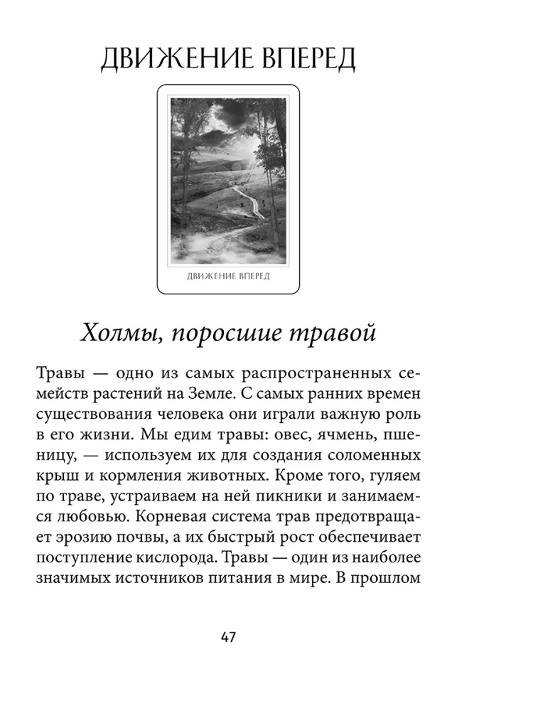 The Oracle of Divine Destiny (52 cards + instructions)