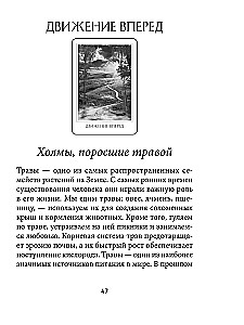 The Oracle of Divine Destiny (52 cards + instructions)