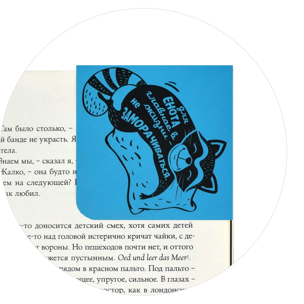 Magnetic Bookmark for Books Sleepy Raccoon