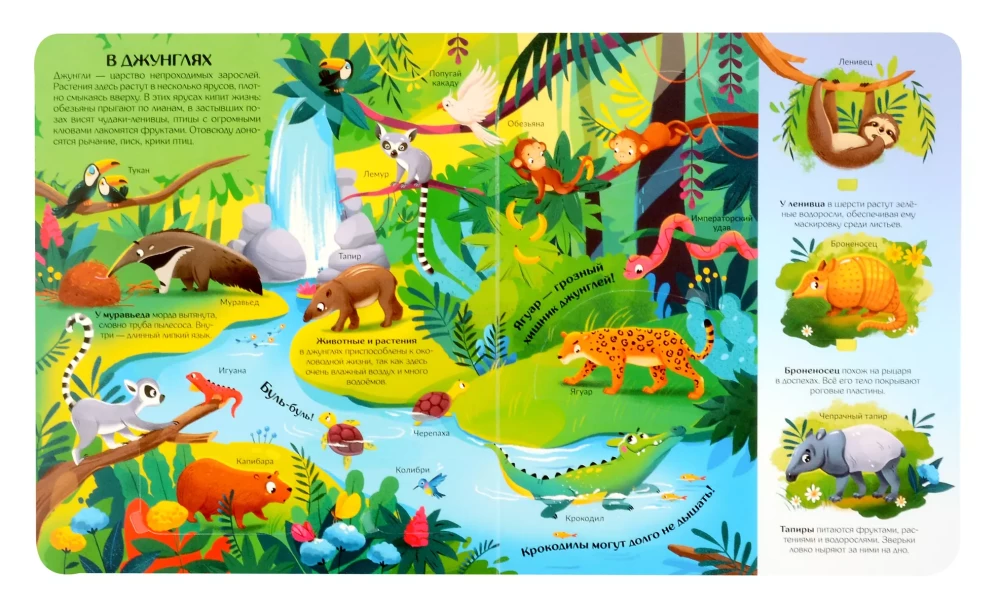 World of Animals