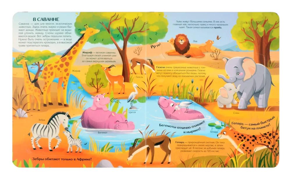 World of Animals