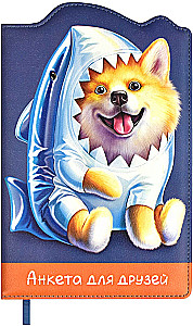 Survey for Shiba Inu Friends in a Shark Costume