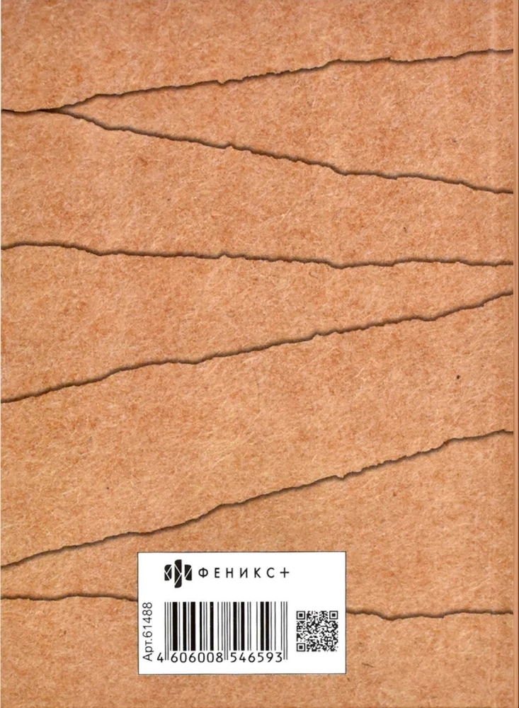 Notebook. A New Beginning
