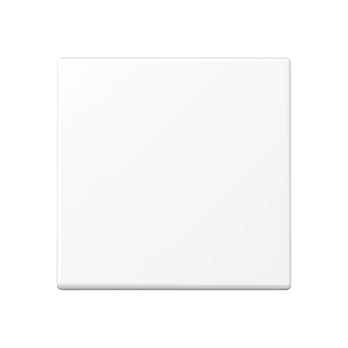 Canvas on stretcher 25x25