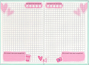 Notebook of the In Love Cat