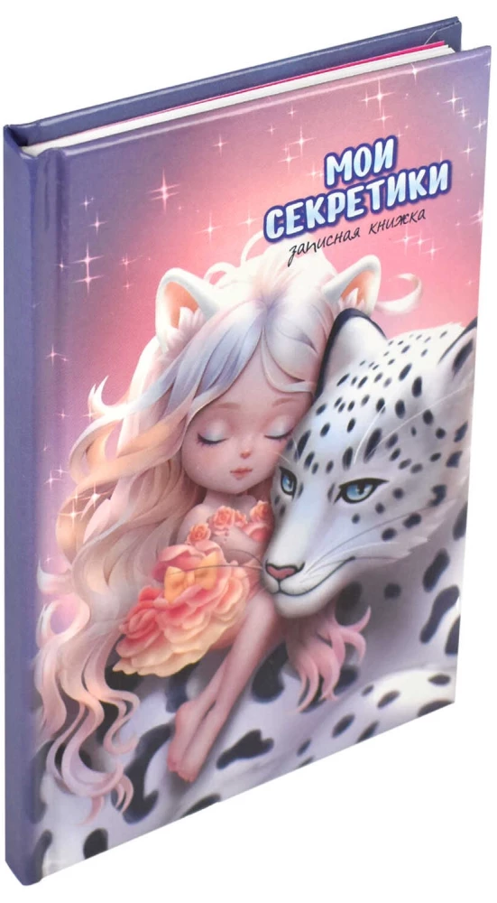 Notebook Fairy Tale Dream