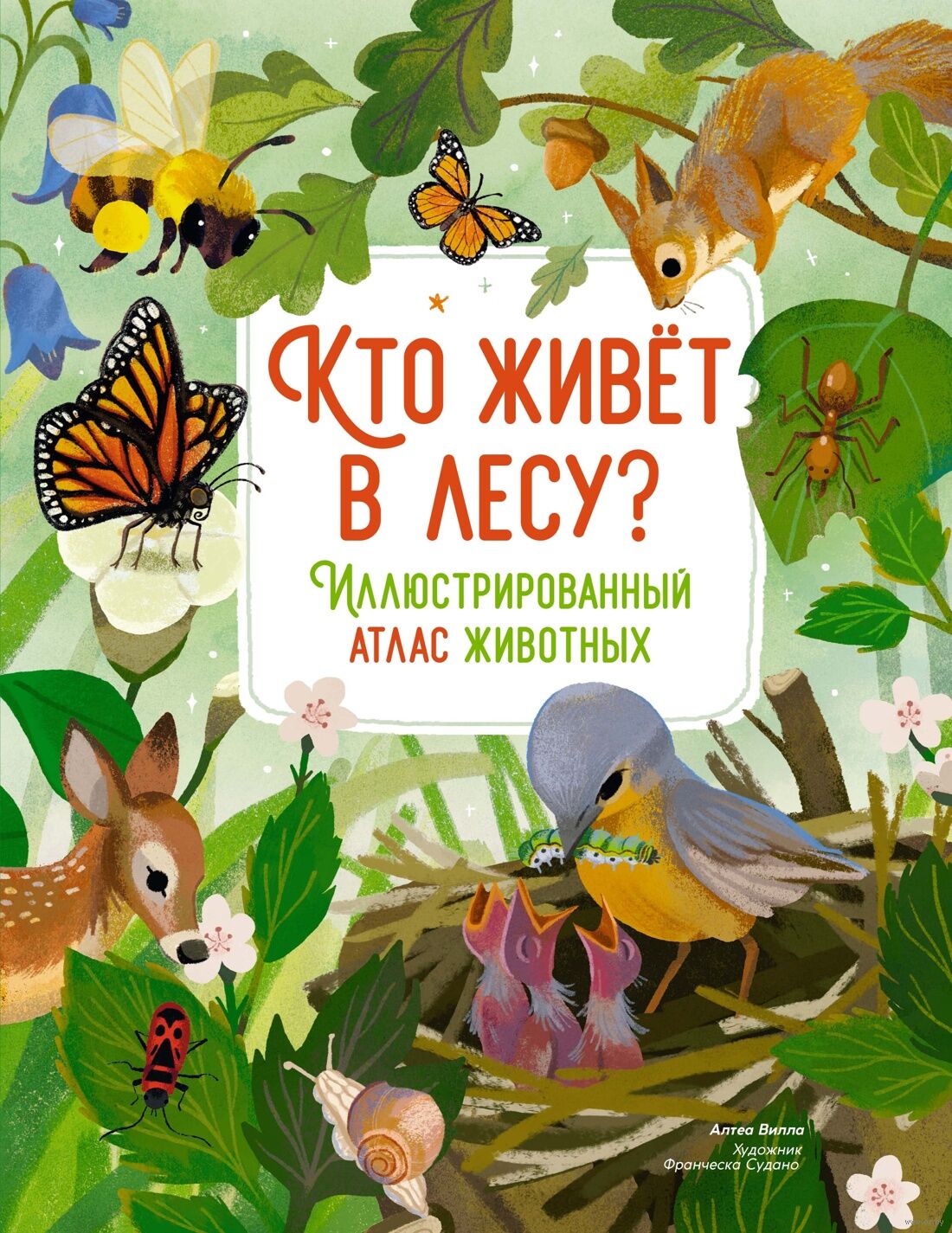 Who Lives in the Forest? An Illustrated Atlas of Animals