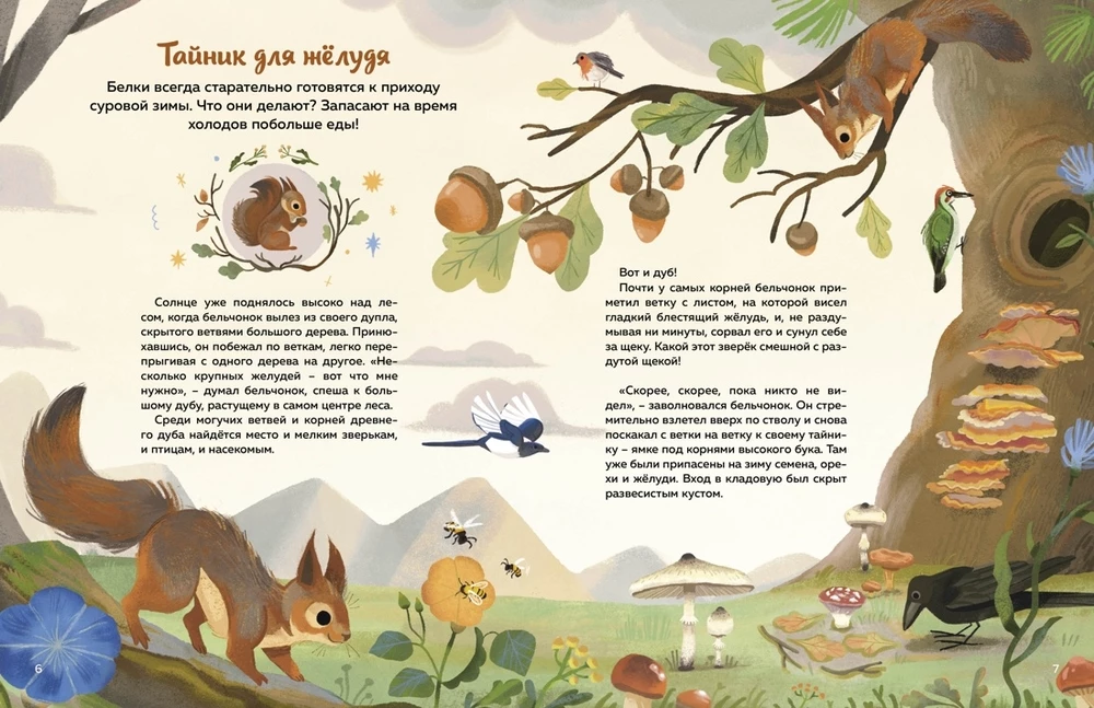 Kas dzīvo mežā? Ilustrēts dzīvnieku atlants