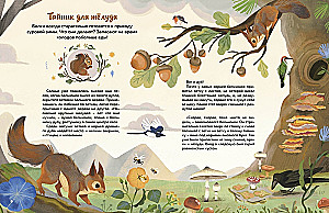 Kas dzīvo mežā? Ilustrēts dzīvnieku atlants