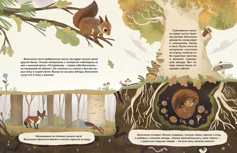 Kas dzīvo mežā? Ilustrēts dzīvnieku atlants