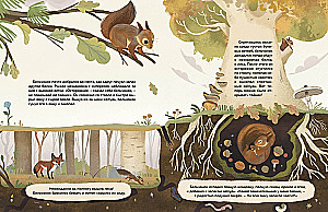 Kas dzīvo mežā? Ilustrēts dzīvnieku atlants