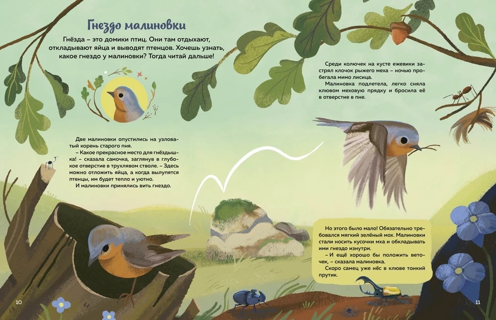 Kas dzīvo mežā? Ilustrēts dzīvnieku atlants