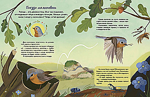 Kas dzīvo mežā? Ilustrēts dzīvnieku atlants