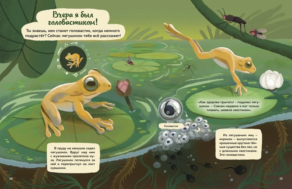 Kas dzīvo mežā? Ilustrēts dzīvnieku atlants