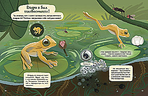 Kas dzīvo mežā? Ilustrēts dzīvnieku atlants