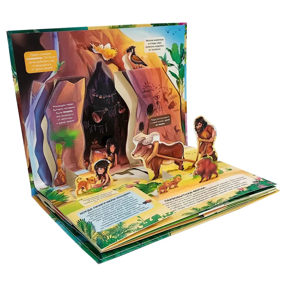 POP UP Encyclopedia. Farm