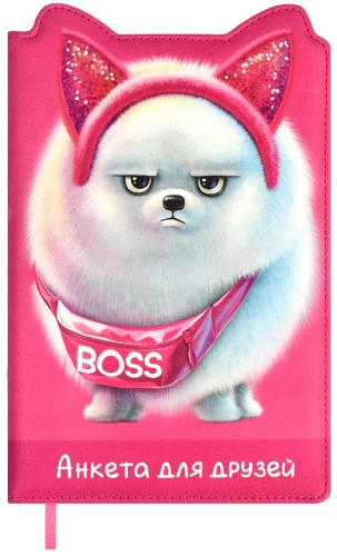 Questionnaire for Friends Boss Spitz
