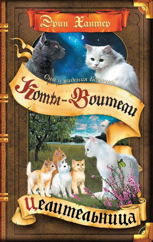 Kriegerkatzen. Die Heilerin