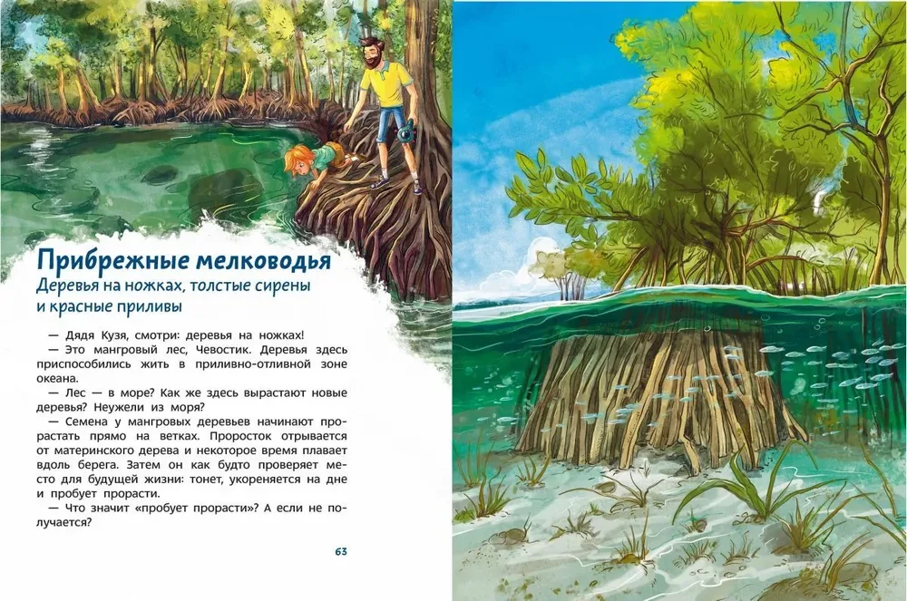 Oceany i morza. Encyklopedia dla dzieci